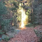 Haus Zum Kranich, Traditionelles, Charmantes, Ehemaliges Bauerngasthaus Möggers