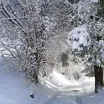 Haus Zum Kranich, Traditionelles, Charmantes, Ehemaliges Bauerngasthaus