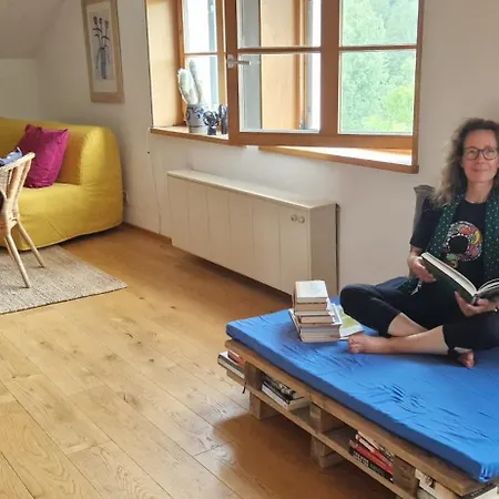 Haus Zum Kranich, Traditionelles, Charmantes, Ehemaliges Bauerngasthaus דירה