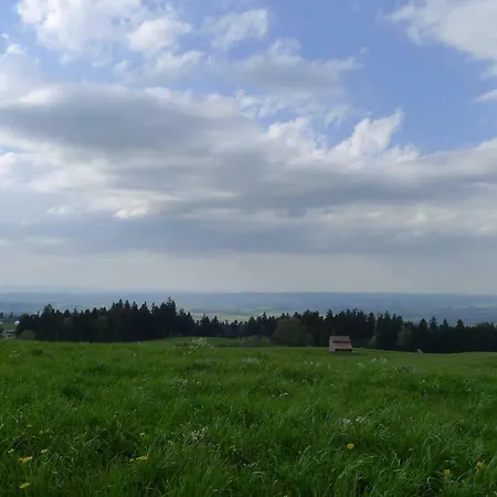 Haus Zum Kranich, Traditionelles, Charmantes, Ehemaliges Bauerngasthaus 아파트 Möggers
