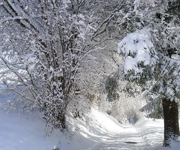 Haus Zum Kranich, Traditionelles, Charmantes, Ehemaliges Bauerngasthaus